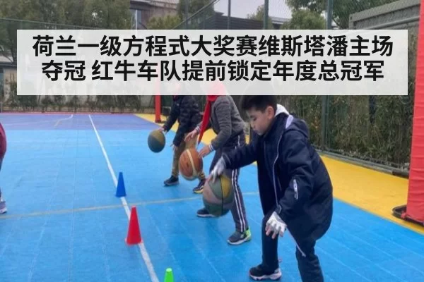 荷兰一级方程式大奖赛维斯塔潘主场夺冠 红牛车队提前锁定年度总冠军