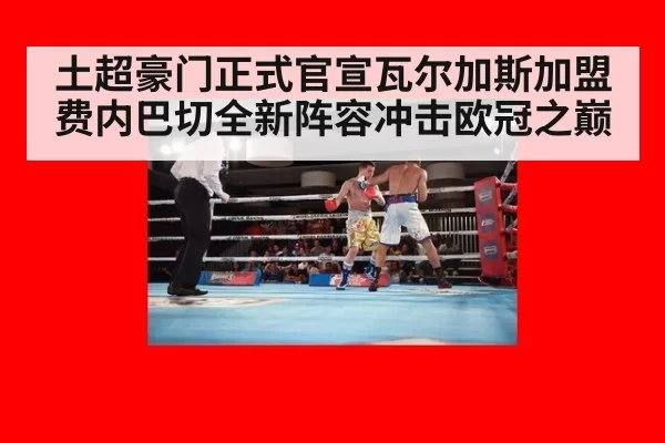 土超豪门正式官宣瓦尔加斯加盟费内巴切全新阵容冲击欧冠之巅