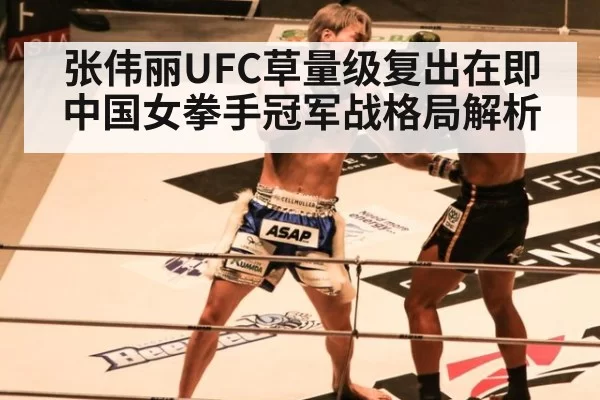 张伟丽UFC草量级复出在即 中国女拳手冠军战格局解析